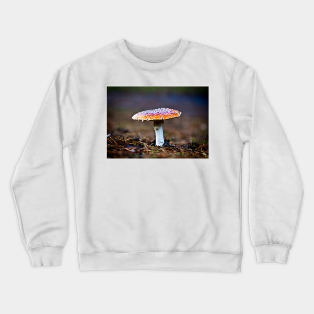 Fly Agaric Toadstool Crewneck Sweatshirt by GrahamPrentice